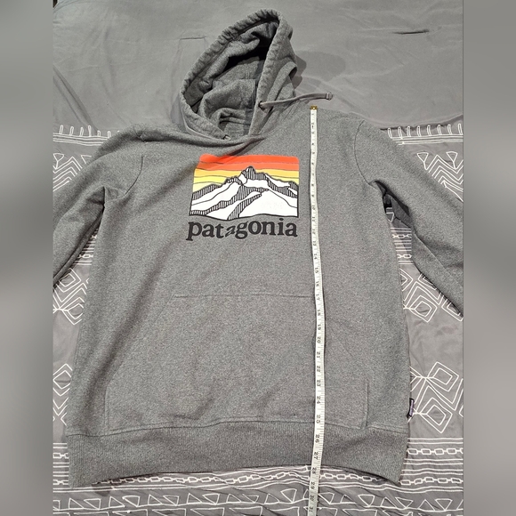 Patagonia Ridge Logo Uprisal Hoody Size Medium - Picture 4 of 8